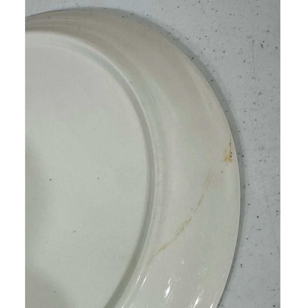 Keltcraft by‎ Noritake Ivy Lane Dinner Plates 9180 Ireland Set of 2